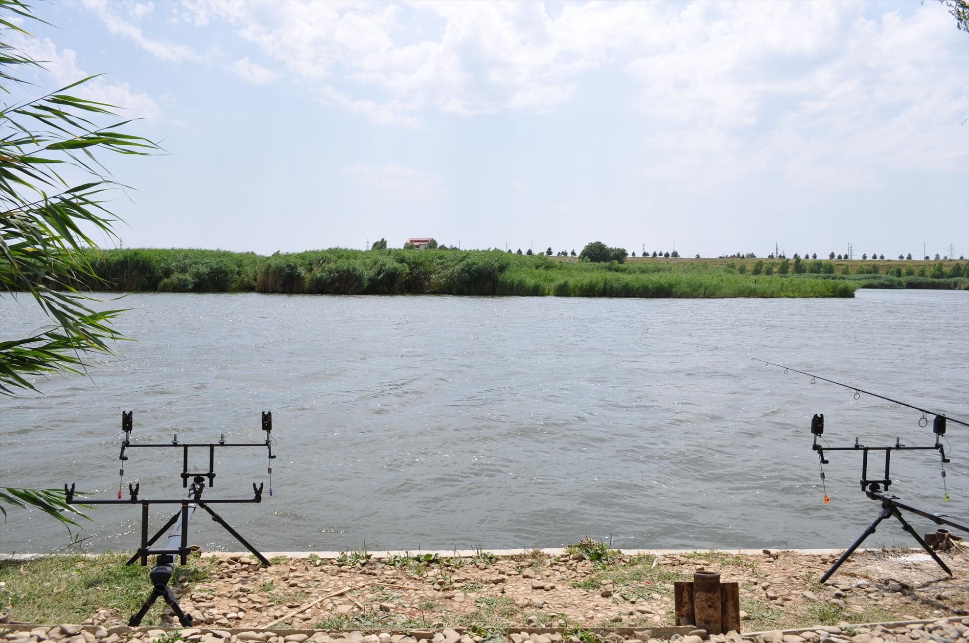 Tancabesti - dsc0054.JPG